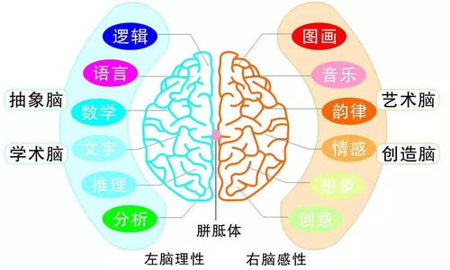 2017年北京全腦超速記憶國(guó)慶集訓(xùn)營(yíng) 告別死記硬背，激發(fā)孩子無(wú)限潛能